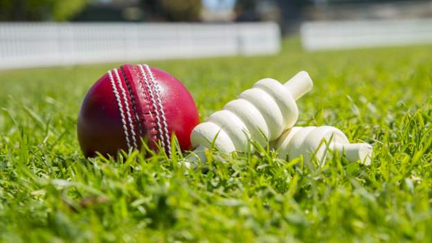 Australian club cricketer takes six wickets in final over to win match