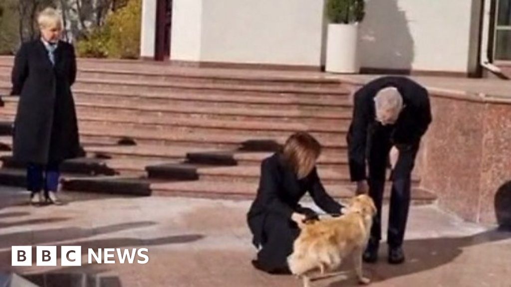 Moldovan president's dog bites hand of visiting Austrian president