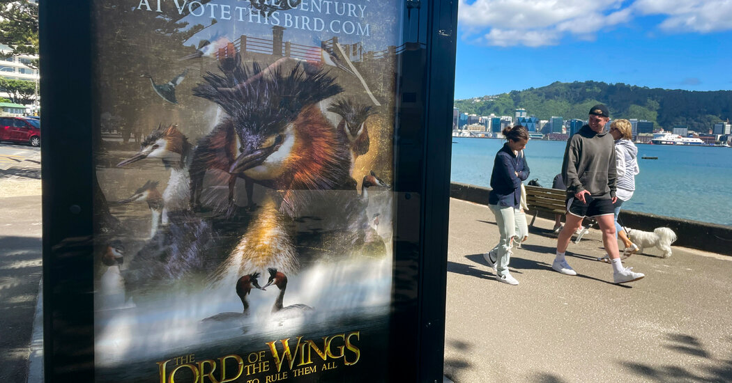 Celebrity Campaign Shines Spotlight on New Zealand Bird Contest