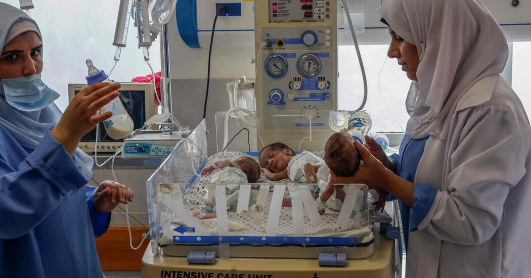 31 Premature Babies at Al-Shifa Hospital in Gaza Are Evacuated