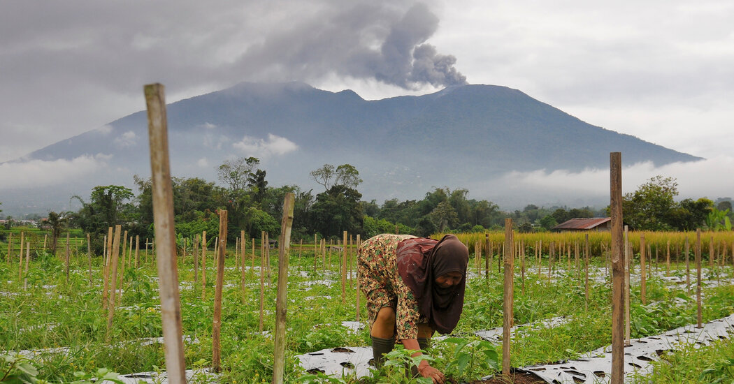 Volcanic Eruption Kills at Least 11 Hikers in Indonesia