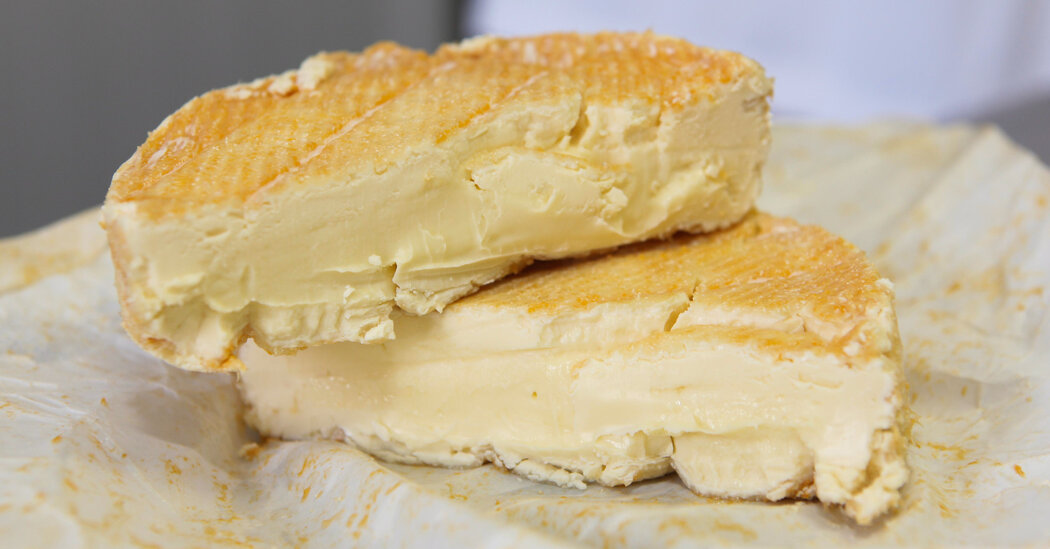 World’s Stinkiest Cheese Hits Supermarket Shelves in Britain