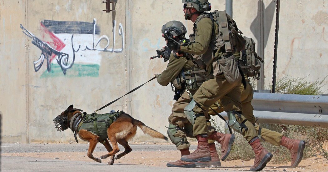Israel Relies on Combat Dogs in Gaza